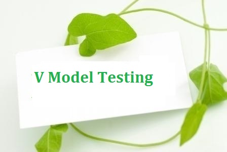 V Model Testing